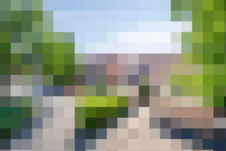 Gagelhof 11 Vroomshoop thumbnail 4