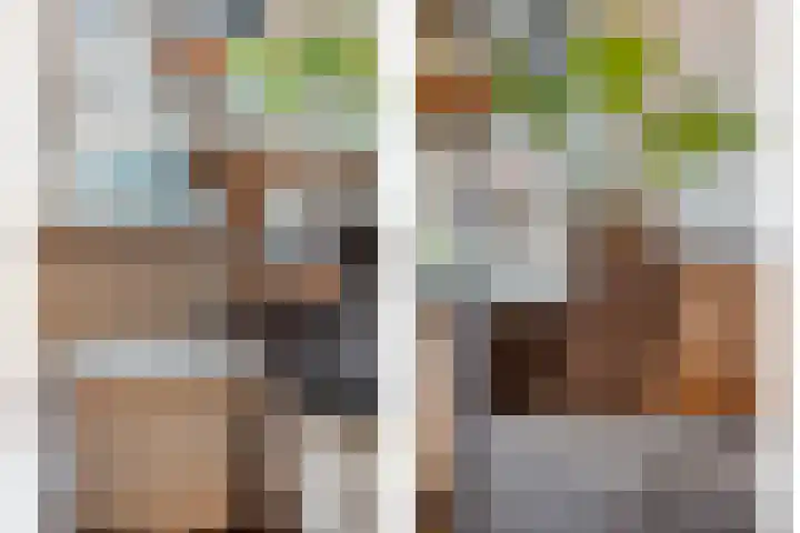 Gagelhof 15 Vroomshoop thumbnail 11