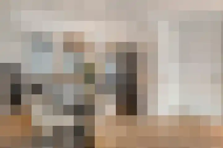 Gagelhof 15 Vroomshoop thumbnail 13