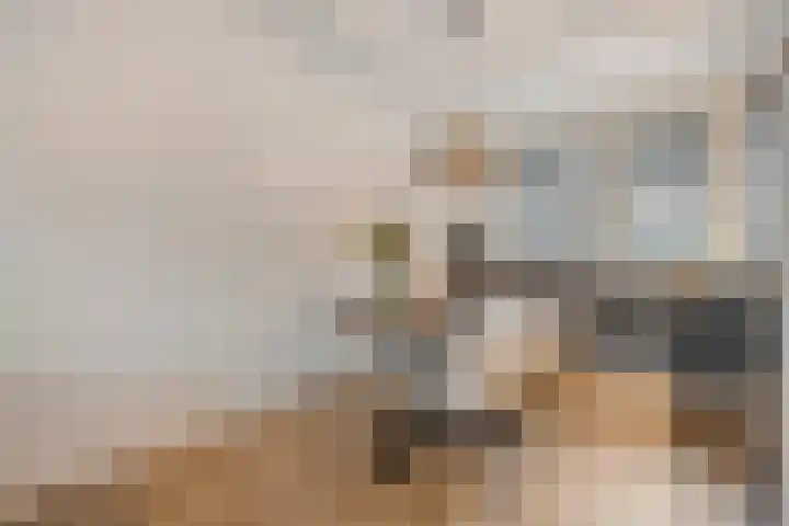 Gagelhof 15 Vroomshoop thumbnail 14