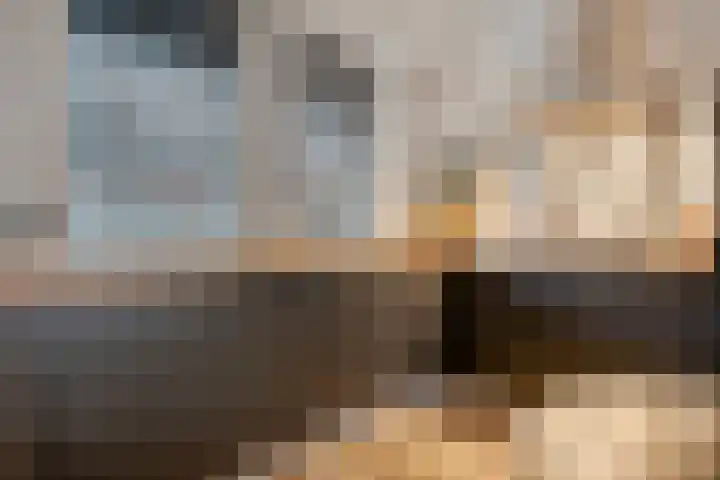 Gagelhof 15 Vroomshoop thumbnail 15