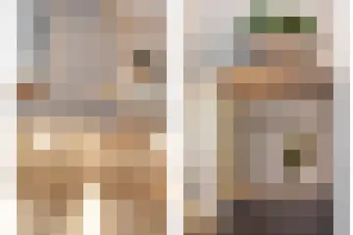 Gagelhof 15 Vroomshoop thumbnail 18