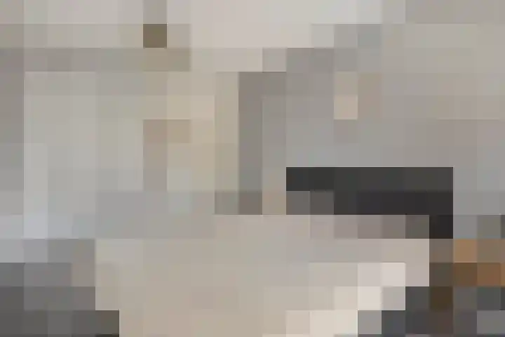 Gagelhof 15 Vroomshoop thumbnail 23