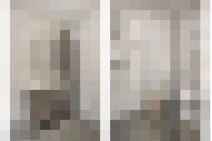 Gagelhof 15 Vroomshoop thumbnail 29