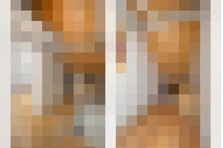 Gagelhof 15 Vroomshoop thumbnail 30