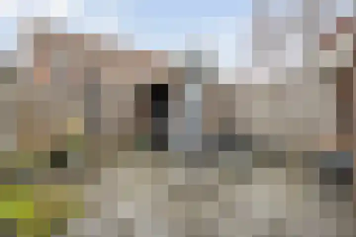 Gagelhof 15 Vroomshoop thumbnail 37