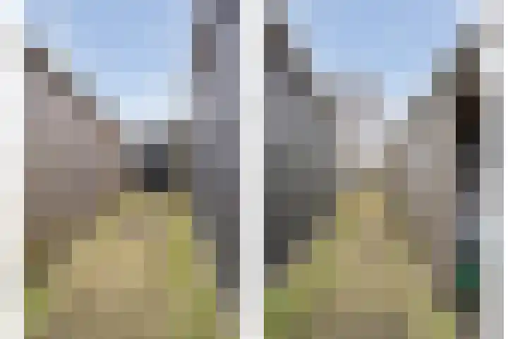Gagelhof 15 Vroomshoop thumbnail 38