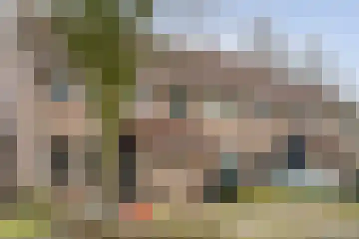Gagelhof 15 Vroomshoop thumbnail 4