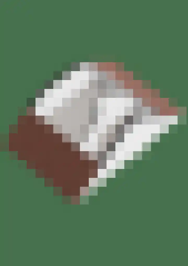 Gagelhof 15 Vroomshoop thumbnail 44