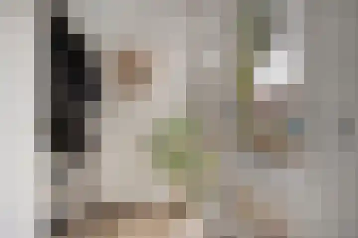 Gagelhof 15 Vroomshoop thumbnail 6