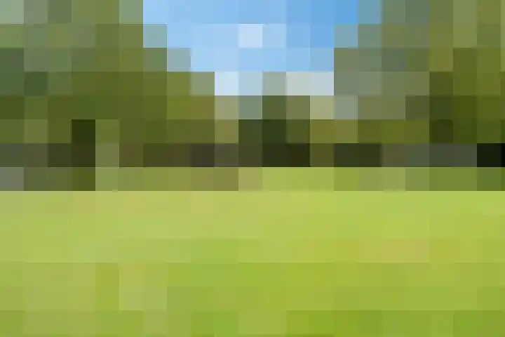 Gagelmaat 4 134 Westerbork thumbnail 28