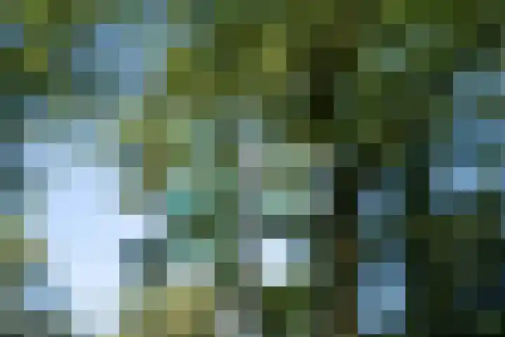 Gagelmaat 4 134 Westerbork thumbnail 29