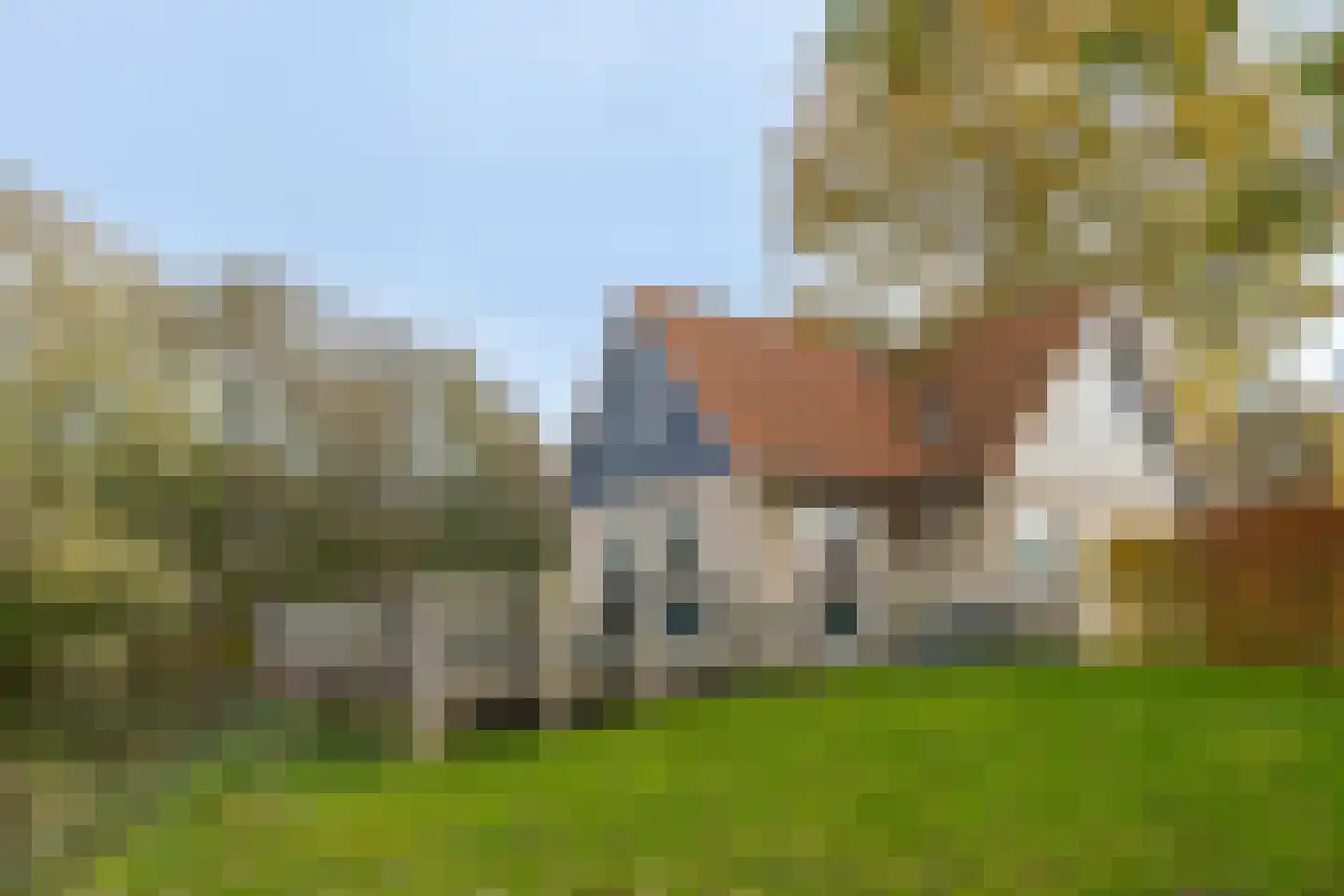 Gagelmaat 4 136 Westerbork thumbnail 5