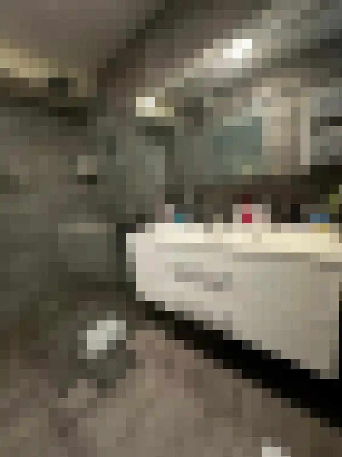 Gagelmaat 4 147 Westerbork thumbnail 16