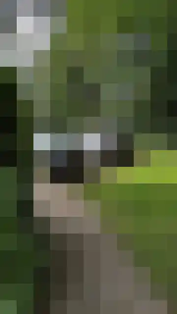 Gagelmaat 4 147 Westerbork thumbnail 20