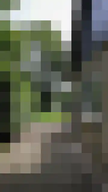 Gagelmaat 4 147 Westerbork thumbnail 4