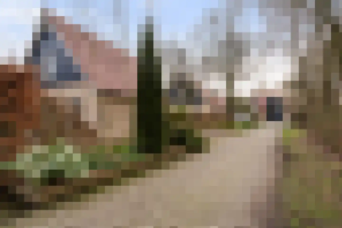 Gagelmaat 4 74 Westerbork thumbnail 27