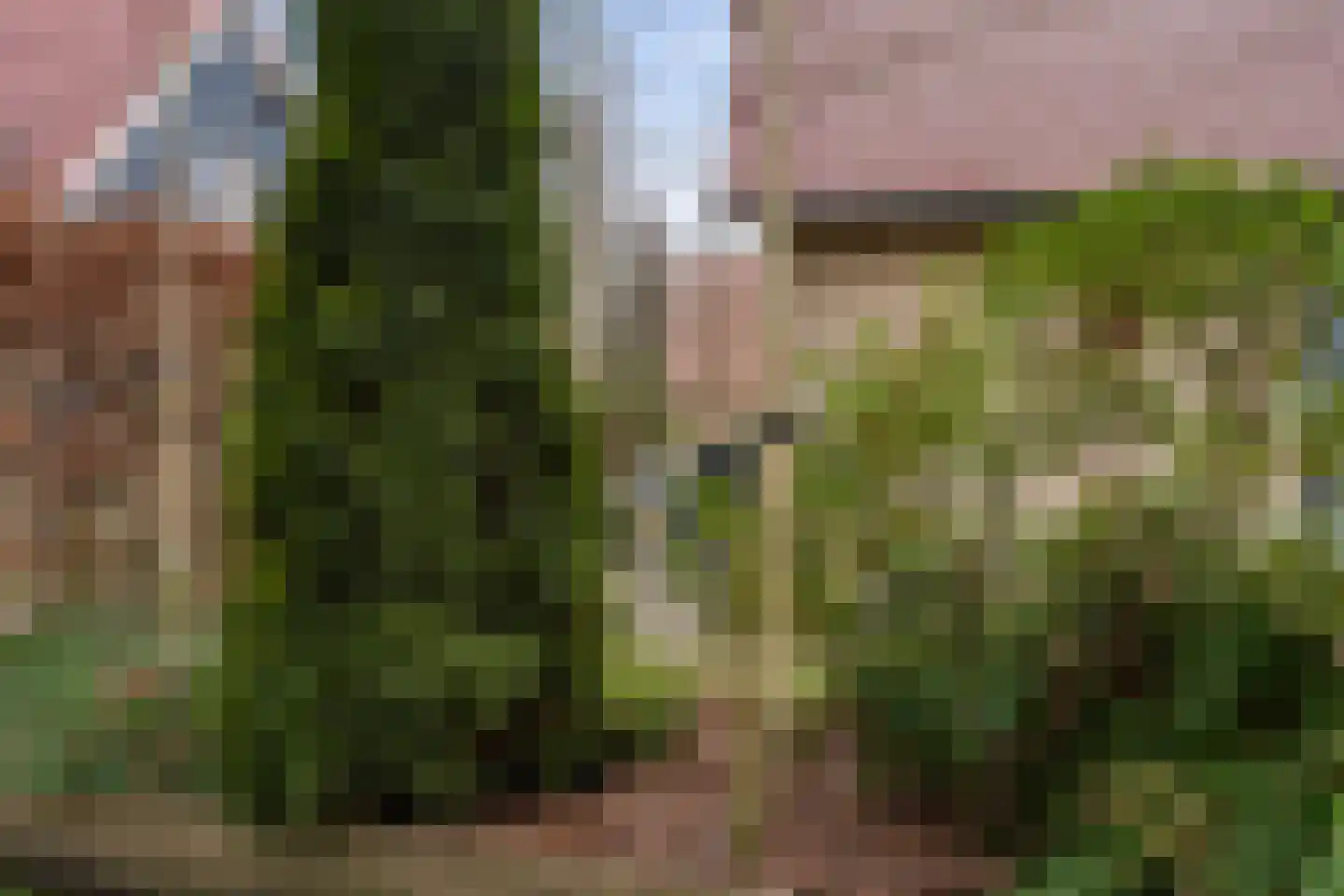 Gagelmaat 4 74 Westerbork thumbnail 32