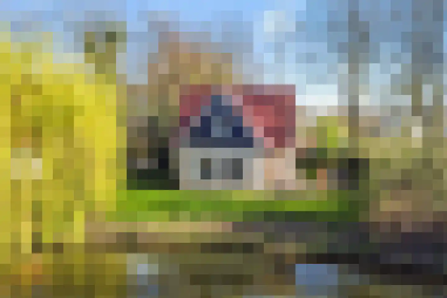 Gagelmaat 4 82 Westerbork