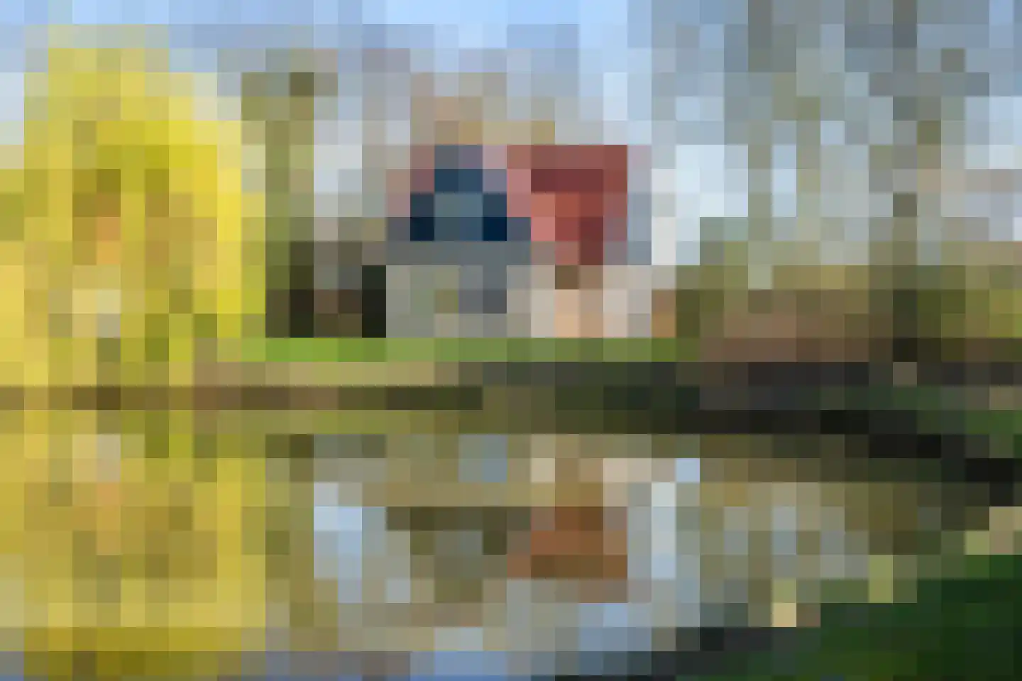 Gagelmaat 4 82 Westerbork thumbnail 37
