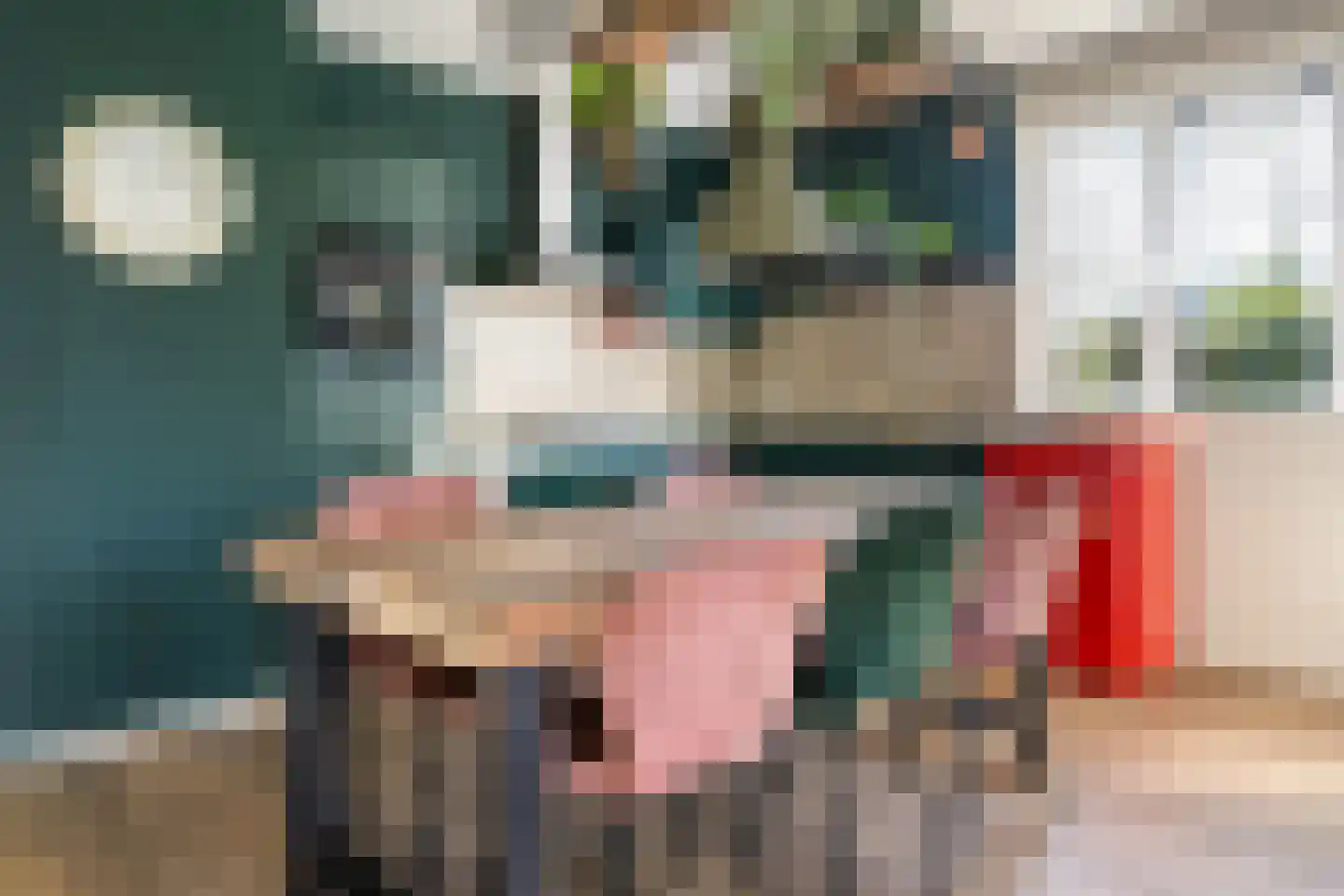 Gagelmaat 4 82 Westerbork thumbnail 8