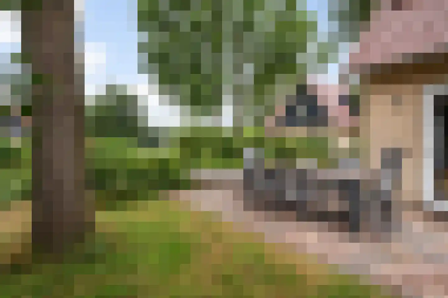 Gagelmaat 4 85 Westerbork thumbnail 29