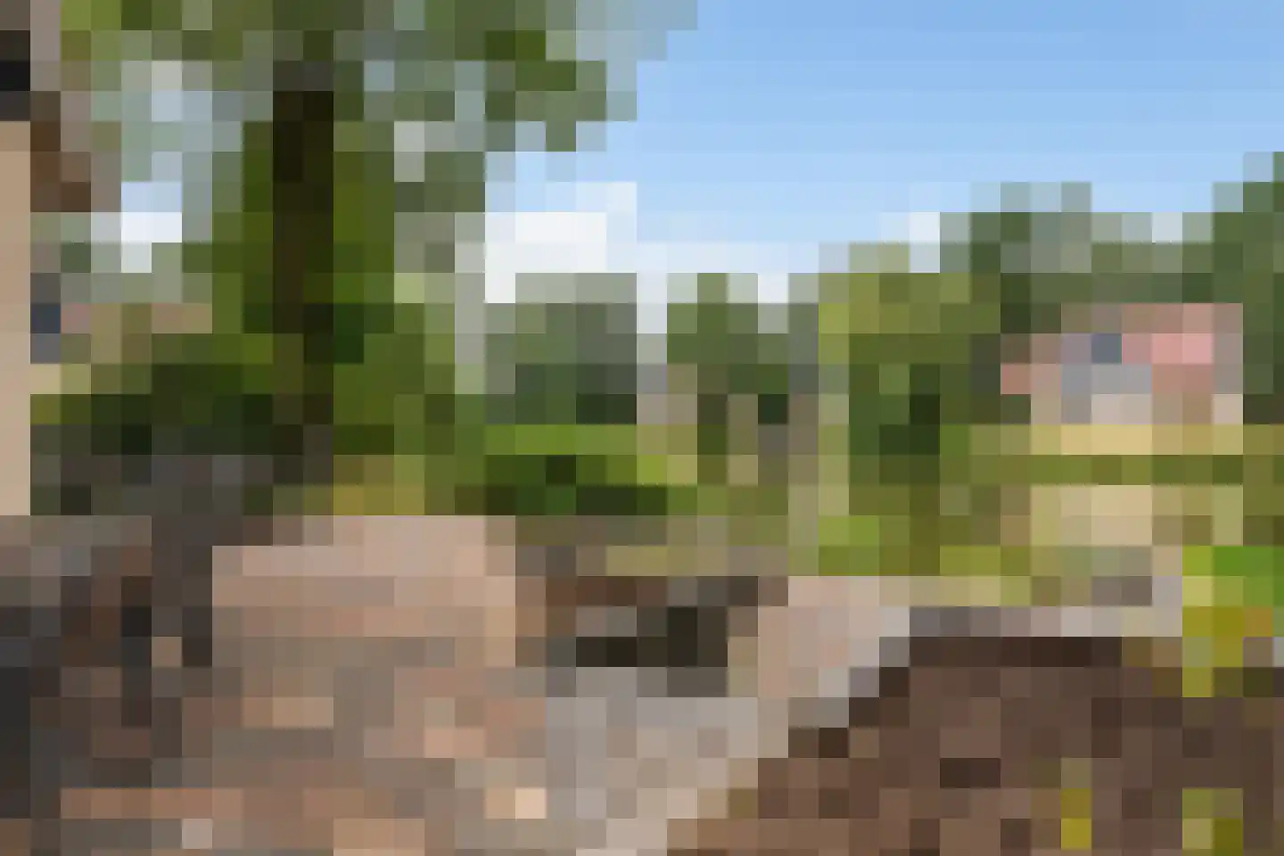 Gagelmaat 4 85 Westerbork thumbnail 30