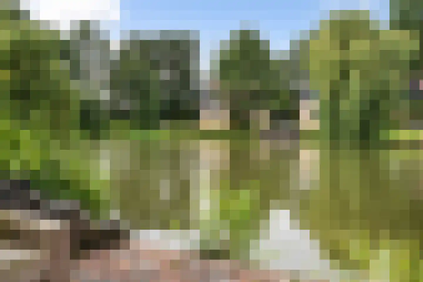 Gagelmaat 4 85 Westerbork thumbnail 33