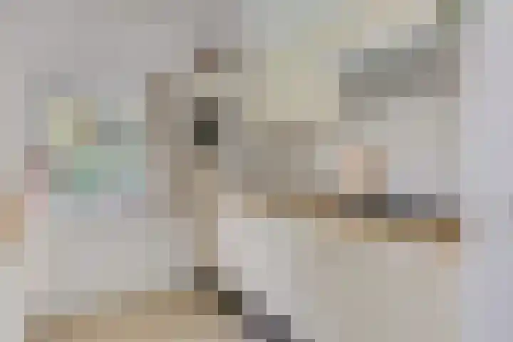 Gagelmaat 4 95 Westerbork thumbnail 17