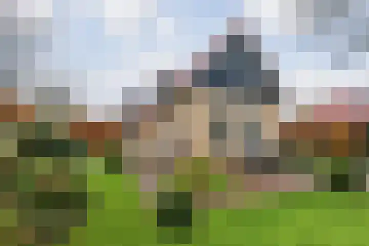 Gagelmaat 4 95 Westerbork thumbnail 29