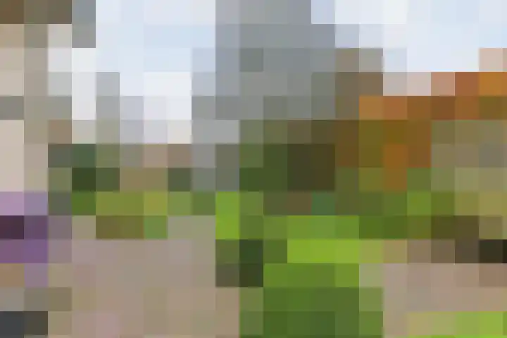 Gagelmaat 4 95 Westerbork thumbnail 30