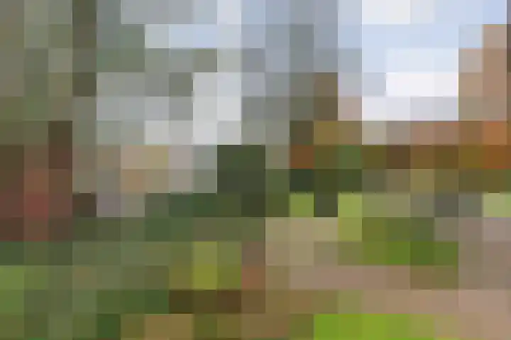 Gagelmaat 4 95 Westerbork thumbnail 31