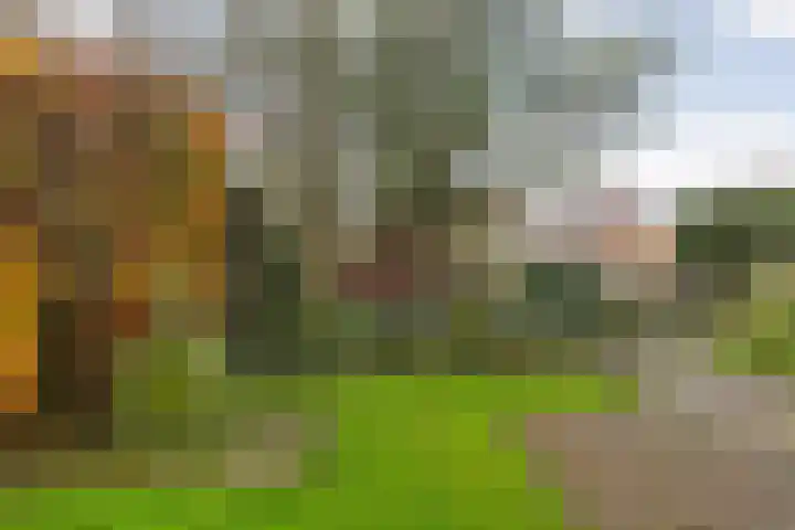 Gagelmaat 4 95 Westerbork thumbnail 32