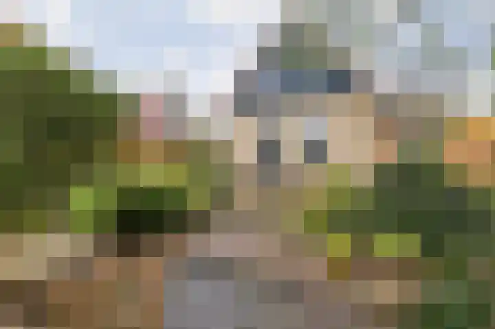 Gagelmaat 4 95 Westerbork thumbnail 33