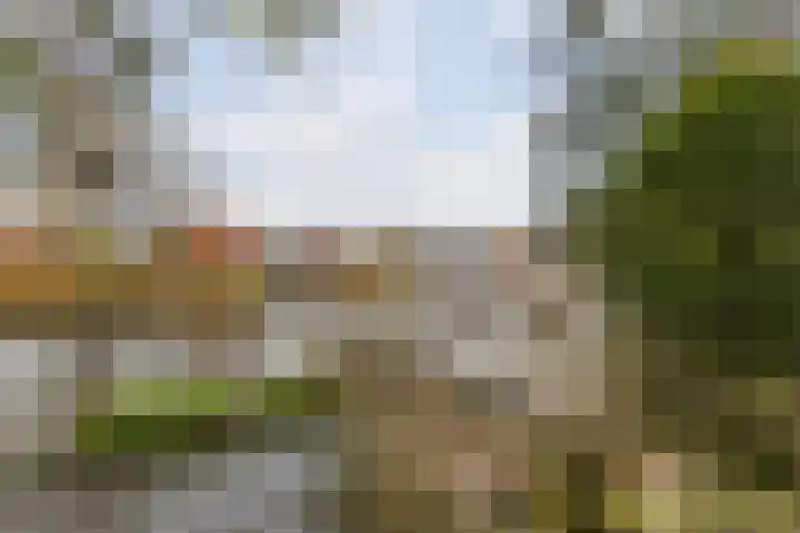 Gagelmaat 4 95 Westerbork thumbnail 34