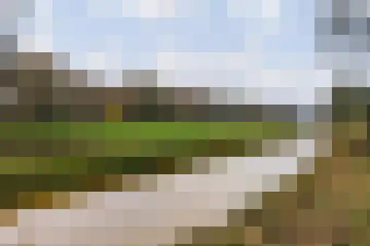 Gagelmaat 4 95 Westerbork thumbnail 37