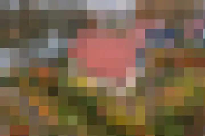 Gagelmaat 4 95 Westerbork thumbnail 4