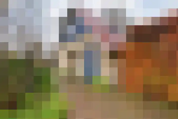 Gagelmaat 4 95 Westerbork thumbnail 6