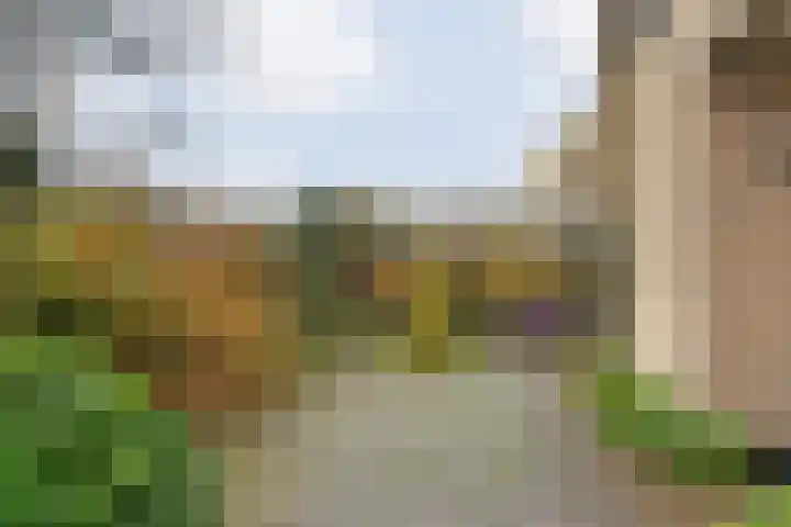 Gagelmaat 4 95 Westerbork thumbnail 7