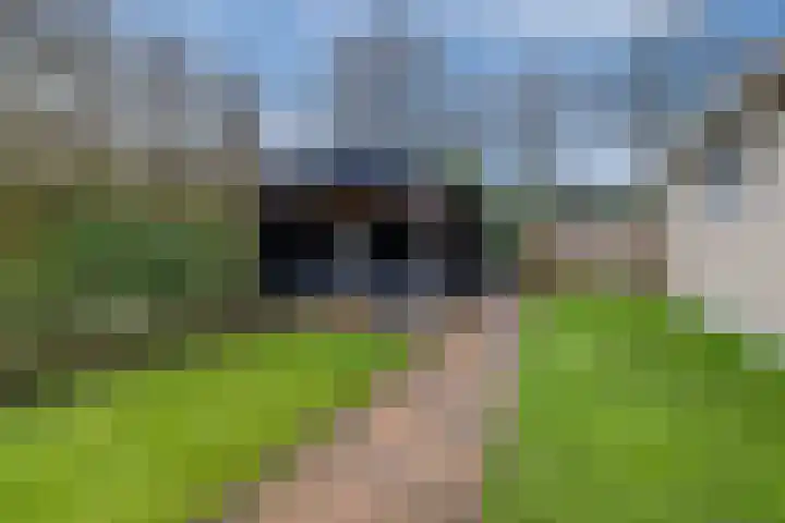 Gagelmaat 6 35 Westerbork thumbnail 24