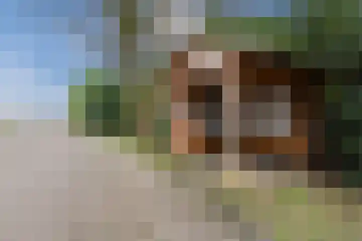 Gagelmaat 6 35 Westerbork thumbnail 30