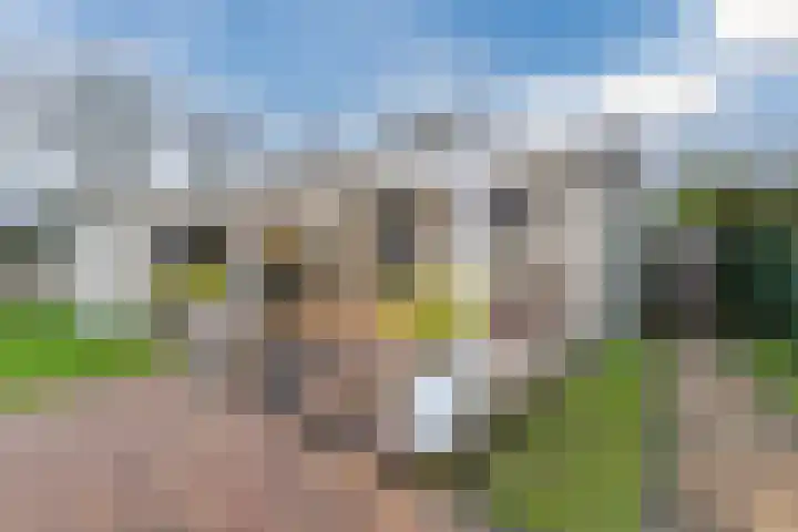 Gagelmaat 6 35 Westerbork thumbnail 7