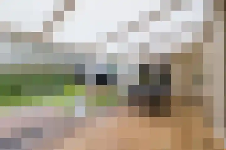 Gagelmaat 6 35 Westerbork thumbnail 8