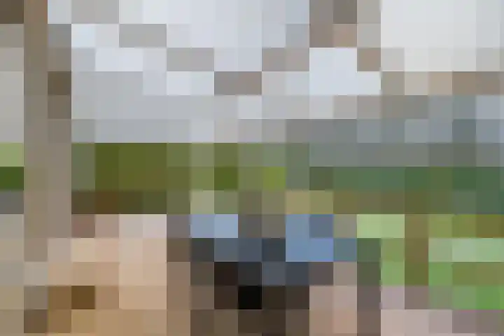 Gagelmaat 6 35 Westerbork thumbnail 9