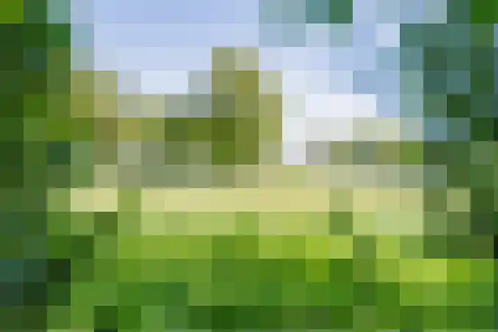Gagelmaat 6 42 Westerbork thumbnail 34