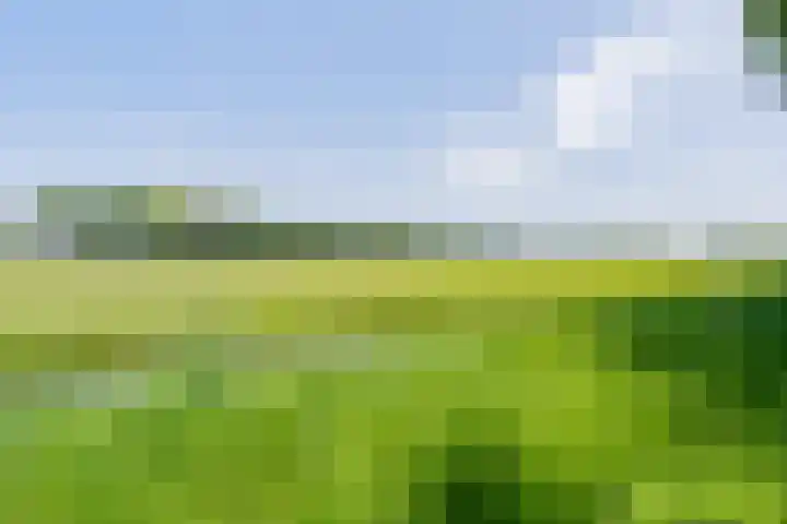 Gagelmaat 6 42 Westerbork thumbnail 35