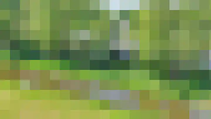 Gagelmaat 6 42 Westerbork thumbnail 36