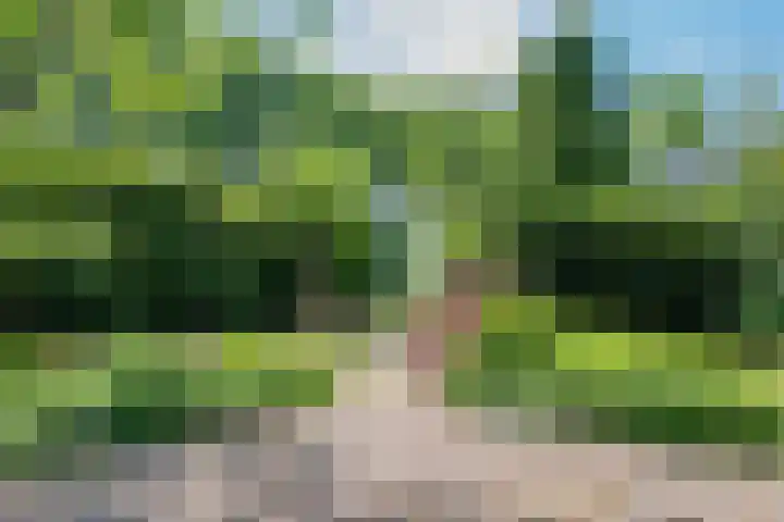 Gagelmaat 6 42 Westerbork thumbnail 5