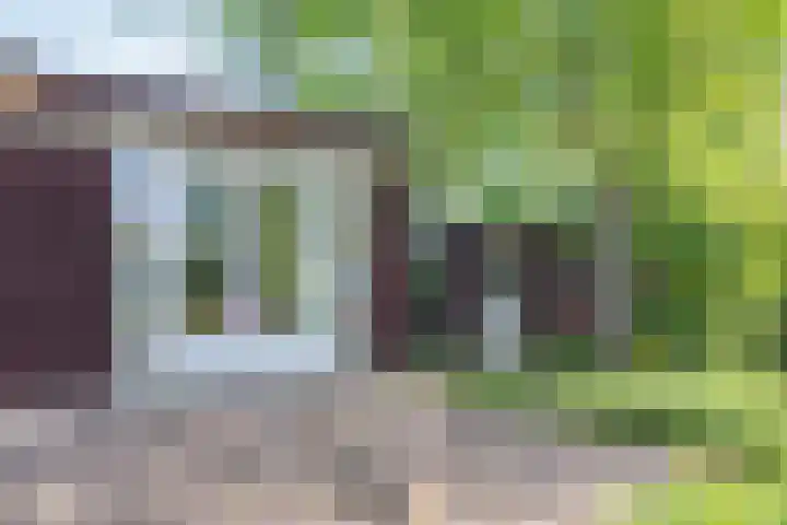 Gagelmaat 6 42 Westerbork thumbnail 7