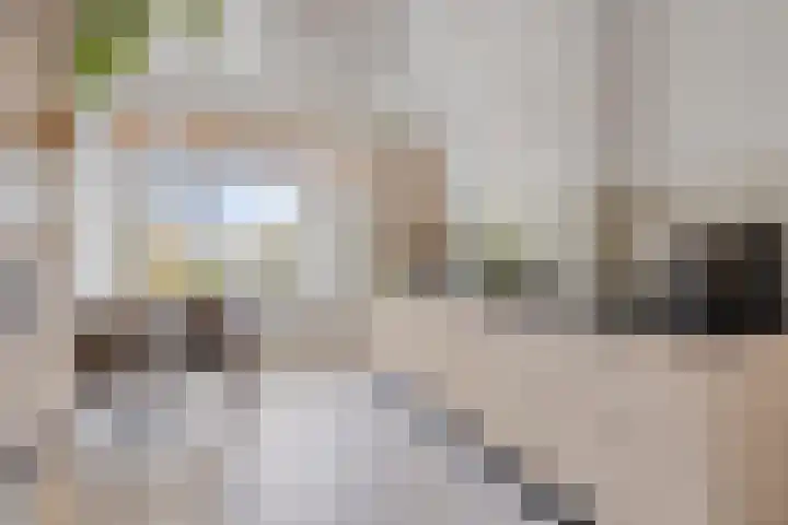 Gagelplein 1 Den Haag thumbnail 14